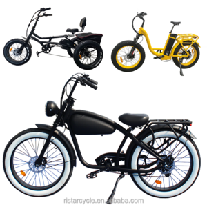 Electric Bike 20Inch Fat Tire Ebike 250W Urban Electric Bicycle 25Km/H Adult Fatbike Electric Bike Fat Tire Full Suspension