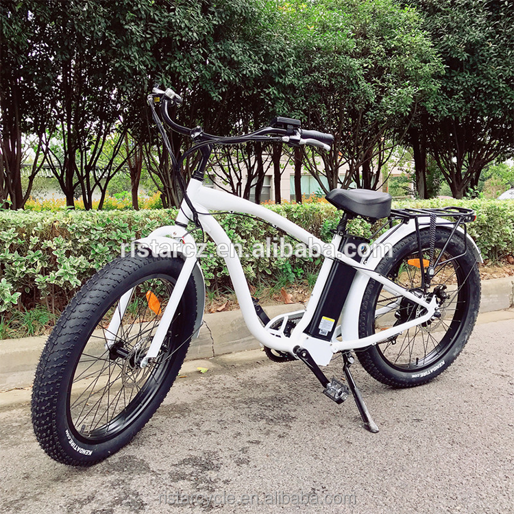 20 X 4 500W Fat Tire Ebike Conversion Kit 20 Inch Specialize Fatbike Suspension Electric Beach Snow Cruiser Bicycle E Bike