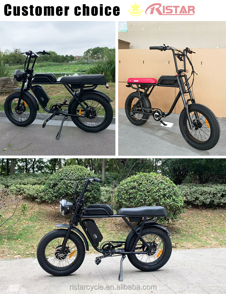 Ebike 15000W Electric Mountain Bike Fat Electric Bicycle Fatbike 20Inches Ebike 250W 25Km Fat Tire E-Bikes Us Warehouse