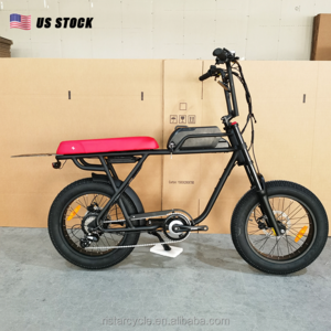 Ebike 15000W Electric Mountain Bike Fat Electric Bicycle Fatbike 20Inches Ebike 250W 25Km Fat Tire E-Bikes Us Warehouse