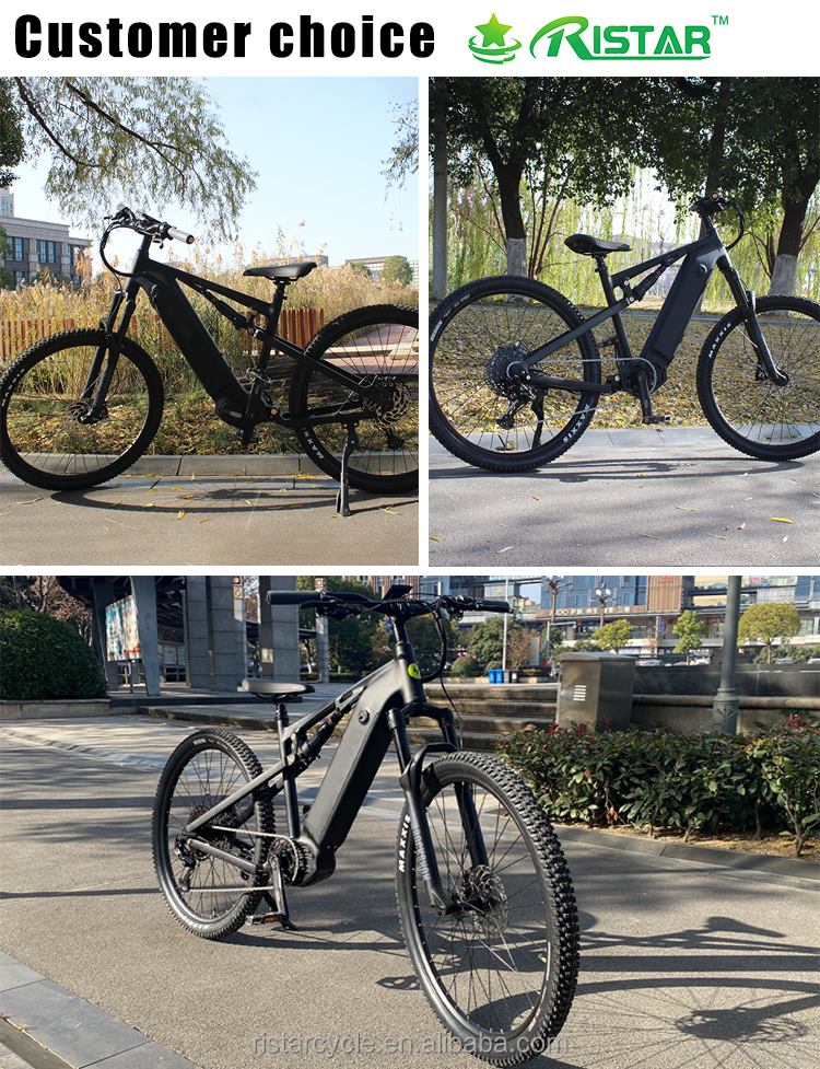 Ristar Customization Mtb Ebike 29 Inch Full Suspension 500W 48V Emtb Full Suspension Full Mtb Offroad Electric Mountain Bike