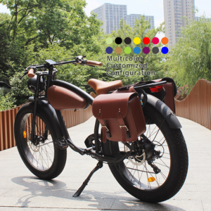 Cafe Racer Ebike High Power Electric Bicycle 750W Fat Tire 26''4.0 E Bike 750 Watt Beach Retro Vintage Ebike Sidecar For Man