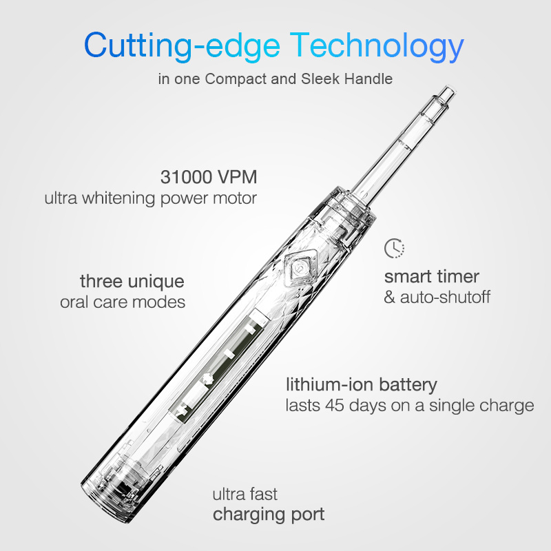 Cheap price mini electrical toothbrush Wholesale custom automatic waterproof Travel electr oral toothbrush