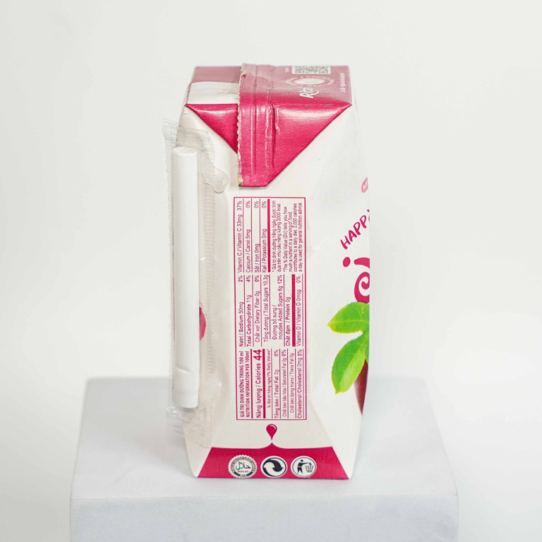 RITA OEM ODM High Quality 200ml paper box Mangosteen Fruit Juice Drink Good Healthy Fast Delivery and Quality Service