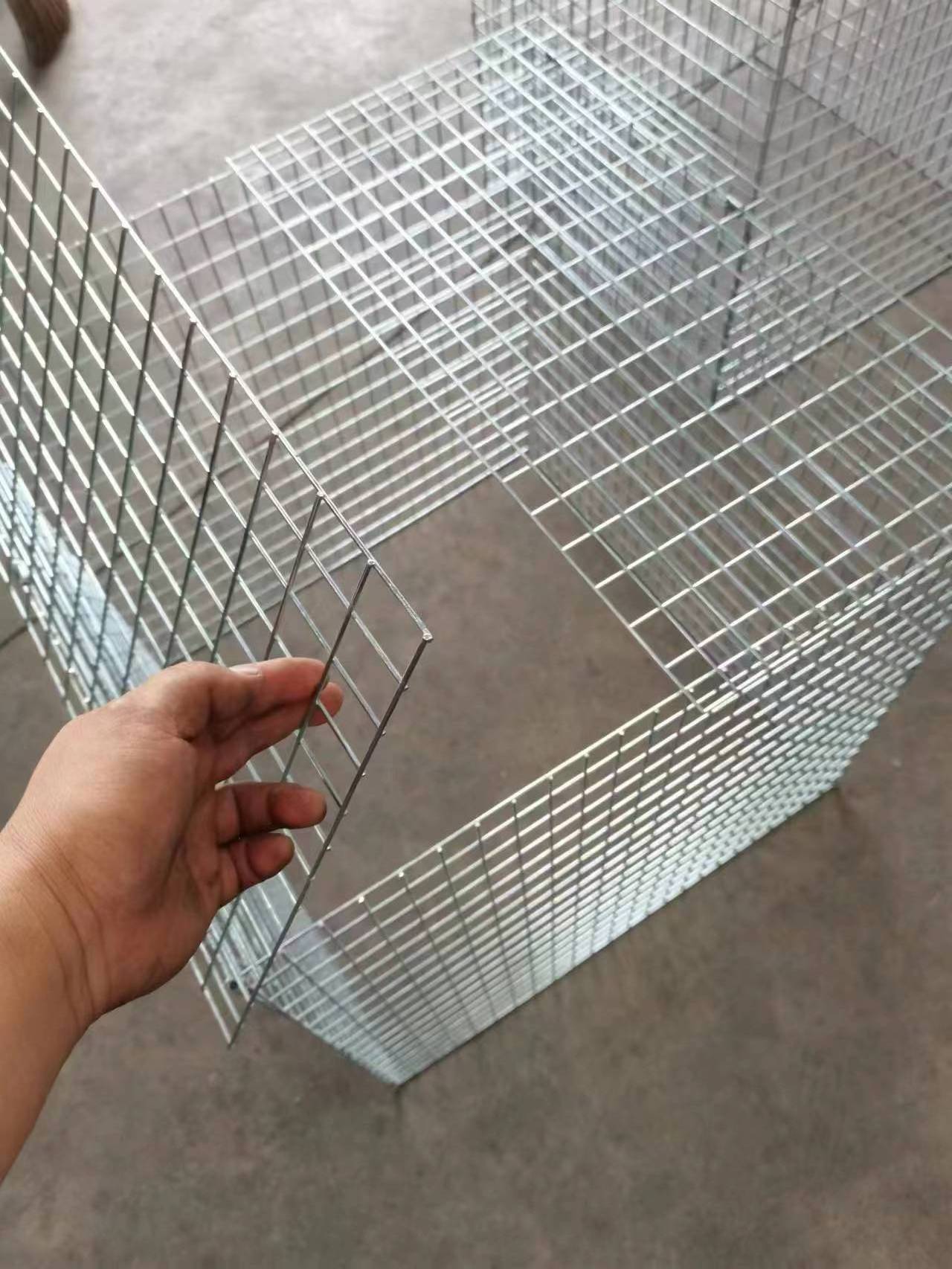 Foldable Wire Mesh Chicken Cage Flying Pen Fighting Rooster Cage for Gamefowl