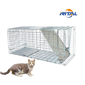 Humane Metal Large Live Wild Coyote Squirrel Rabbit Raccoon Dog Cage Trap Fox Animal Trap Feral Cat Trap Cages for sale