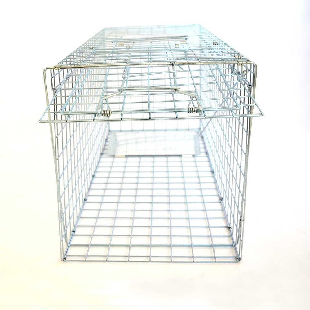 Live Bird Trap Defenders Bird Cage Trap For Magpies Crows and Jays