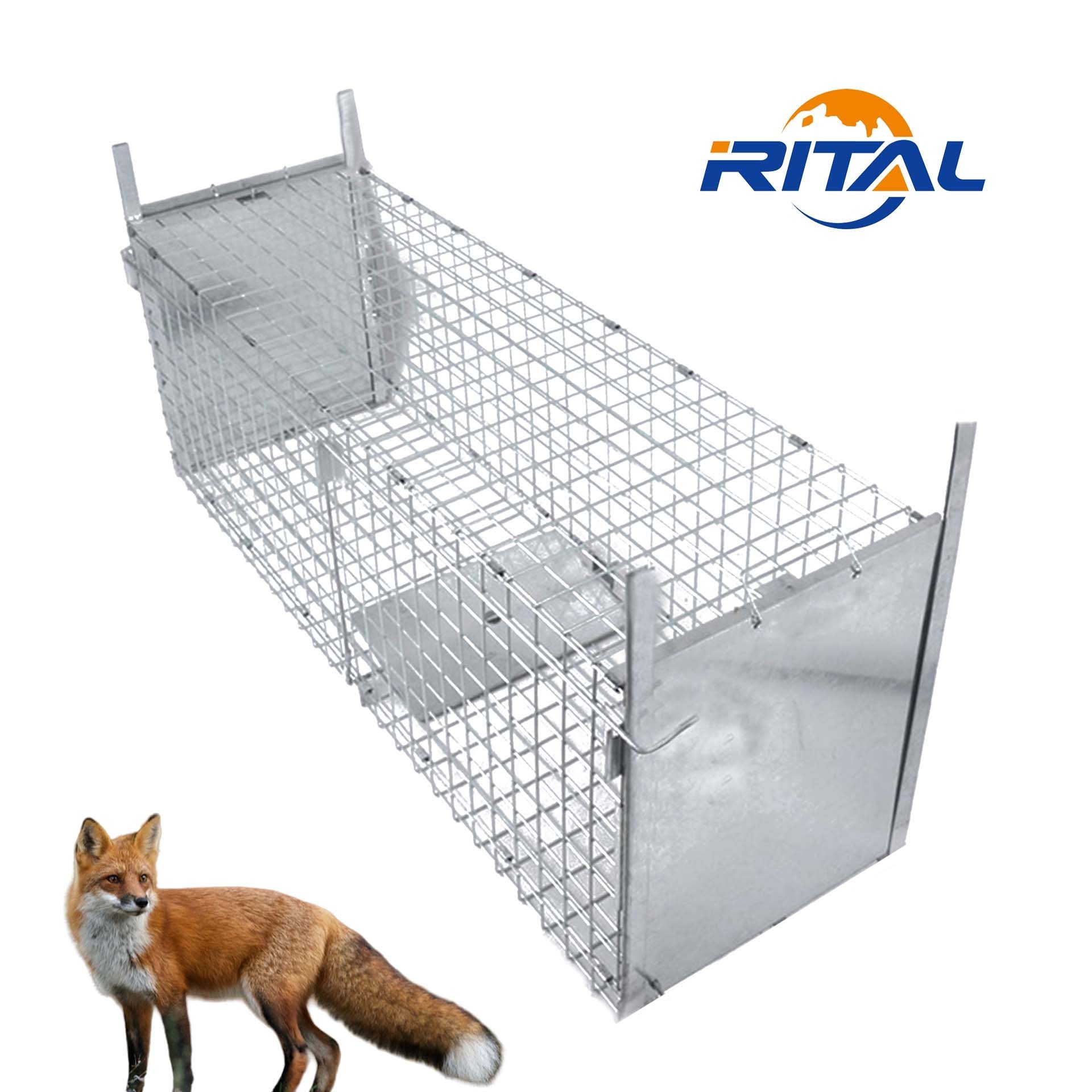 Humane Metal Large Live Wild Coyote Squirrel Rabbit Raccoon Dog Cage Trap Fox Animal Trap Feral Cat Trap Cages for sale