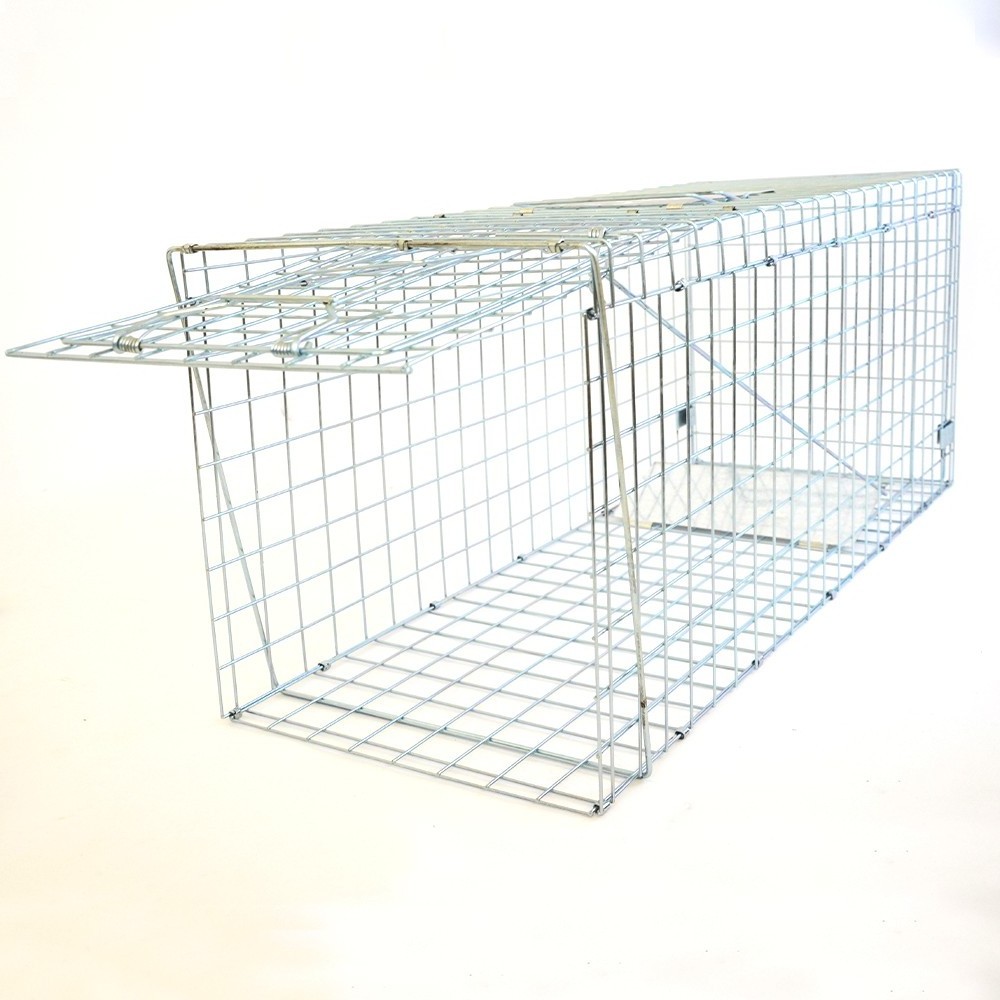 Live Bird Trap Defenders Bird Cage Trap For Magpies Crows and Jays