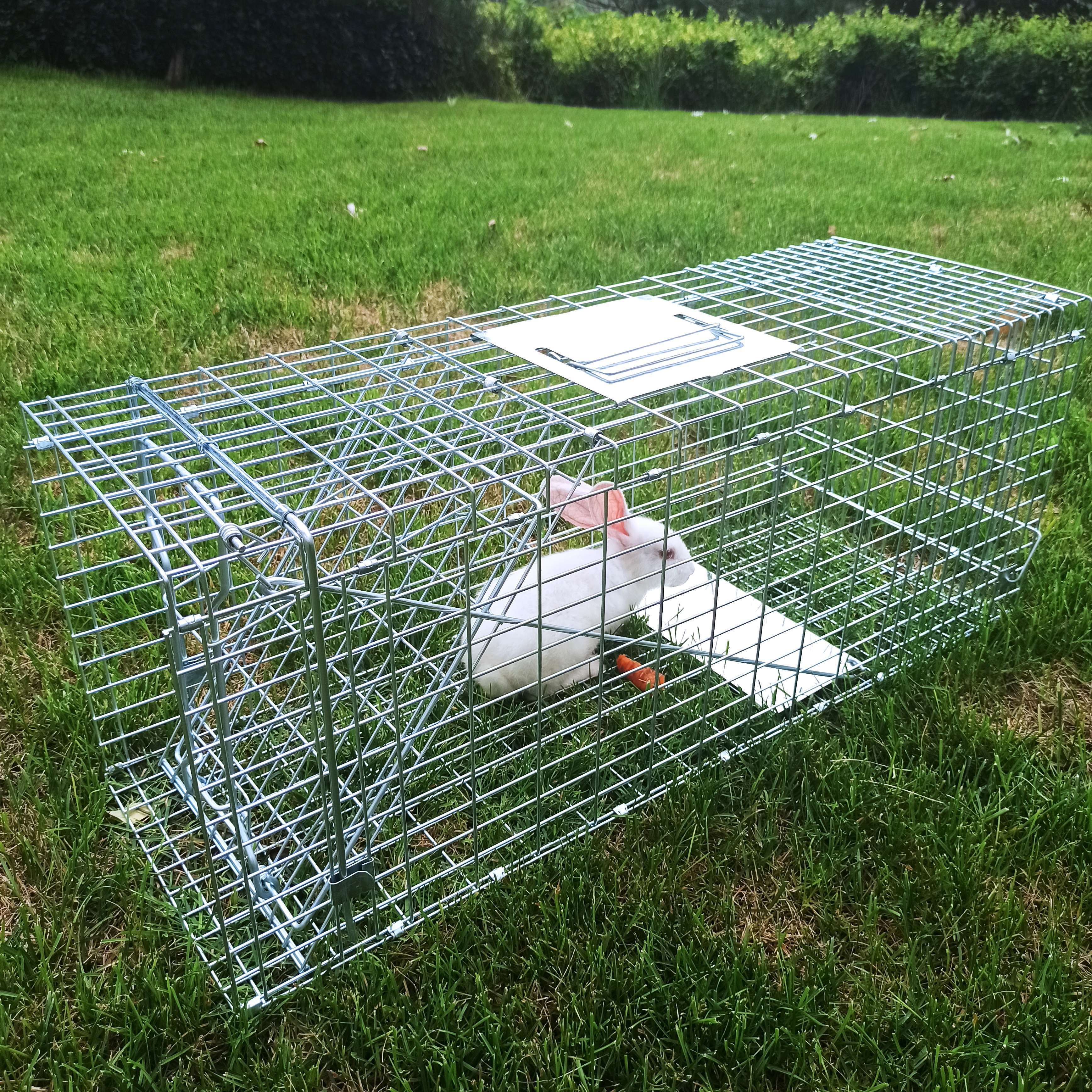 Humane Feral Cat Trap Live Catch Snare Trap Animal Cage for Wild Animals