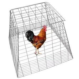 Custom cheap game fowl rooster show cages foldable chicken cage metal poultry cage