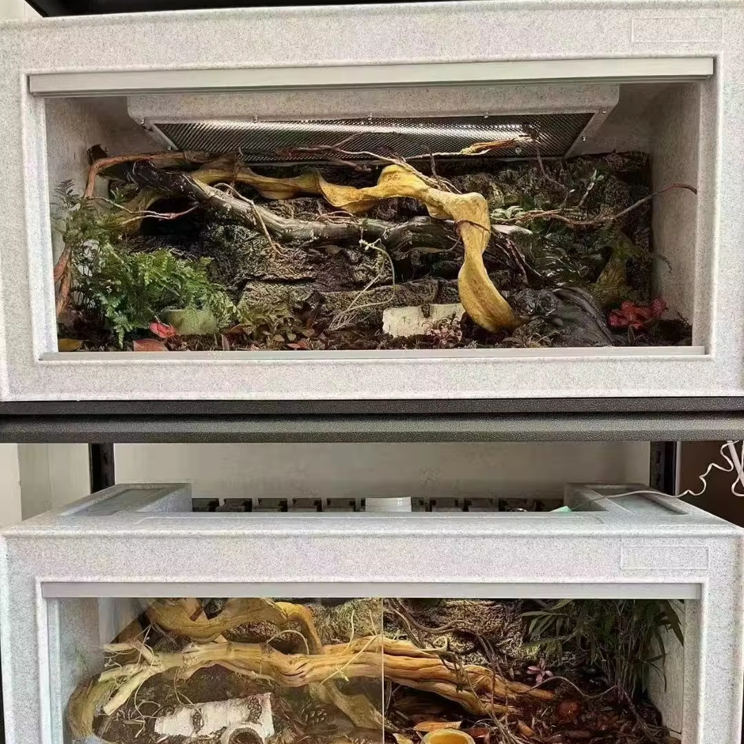 PVC reptile show display cases reptile breeding rack reptile snake display case for Lizard Snake Breeding