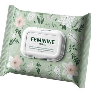 Feminine Hygiene Wipes Single Piece Biodegradable Bamboo Flushable Herbal pH-Balanced Daily Organic Freshening Wipes for Female