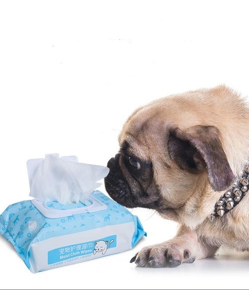 Disposable Eco-friendly Biodegradable Bamboo Pet Dog Wet Grooming Wipes