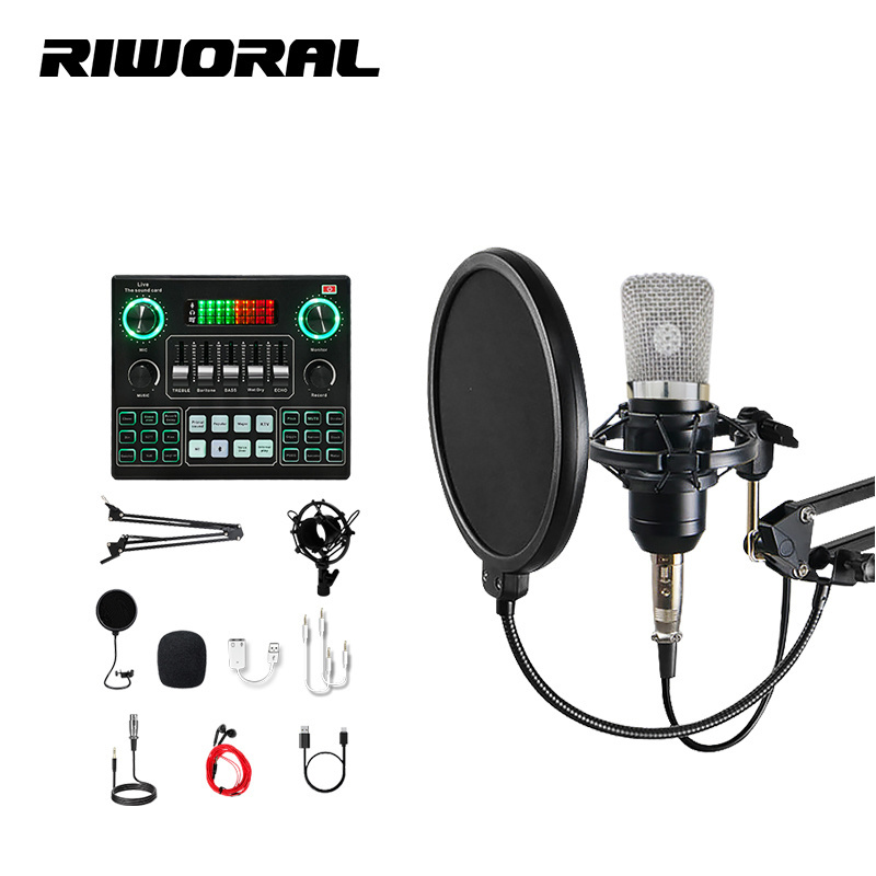 V9 SET Living Usb Condenser Gaming Music Studio Full Set Studio Microphone Recording Professional Microfono Condensador