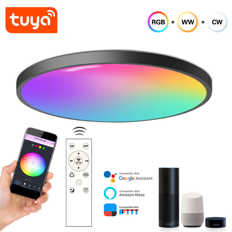 Modern Nordic 12 Inch flush mount tuya wifi bluetooth smart led ceiling lamp 2.4G wifi smart rgb Zigbee ceiling light