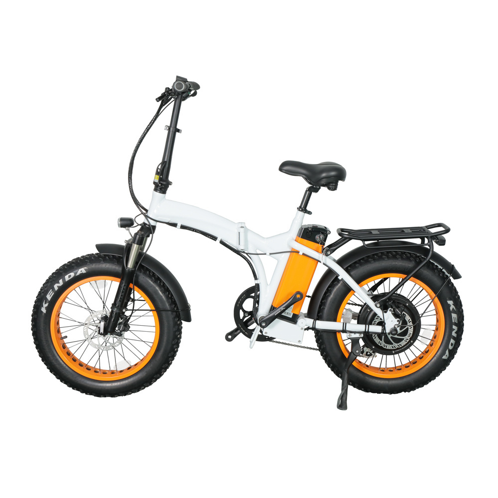 RJ 1000W Electric Bike 20