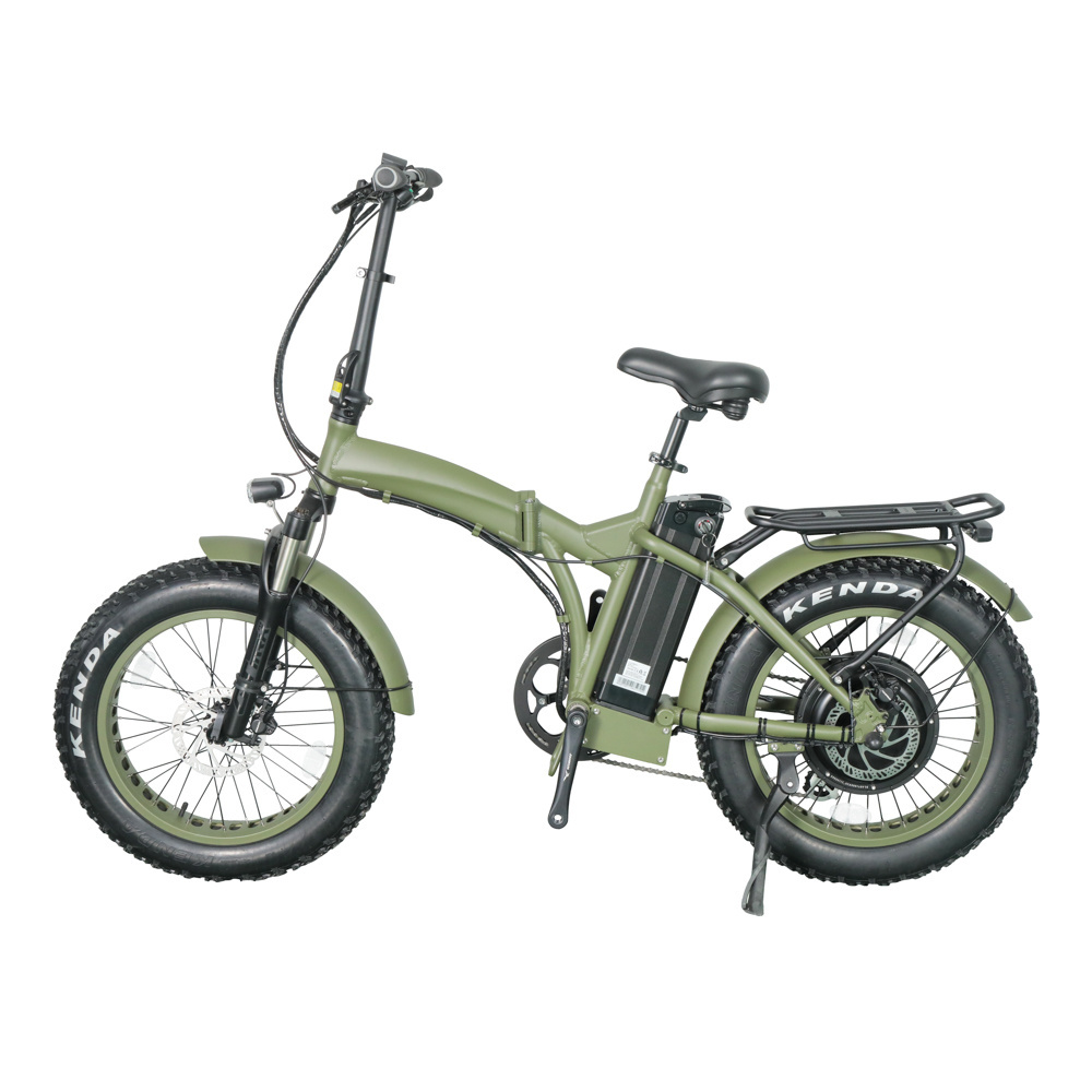 RJ 1000W Electric Bike 20