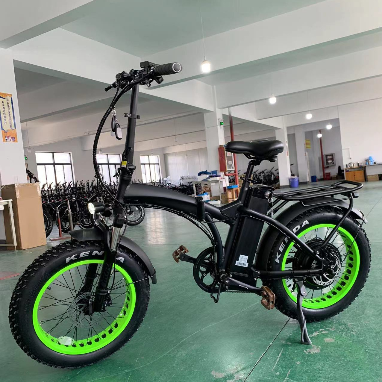 RJ 1000W Electric Bike 20