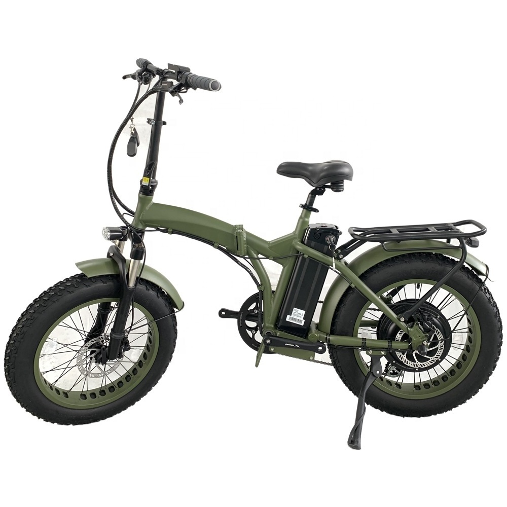 RJ 1000W Electric Bike 20