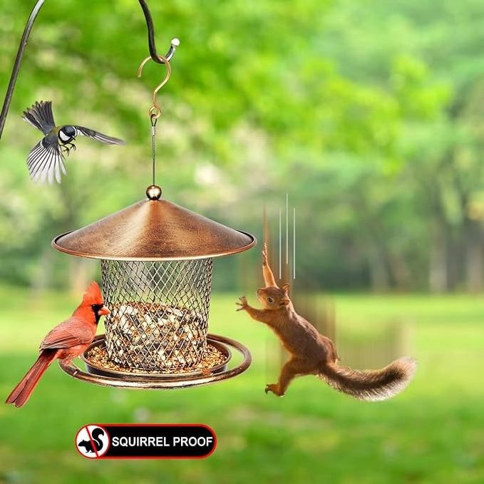 Squirrel Proof Bird Feeders Cute Lantern Bird Feeder Roof Shaped  Heavy Duty Metal Wild Bird Feeder with Hook for Garden Yard