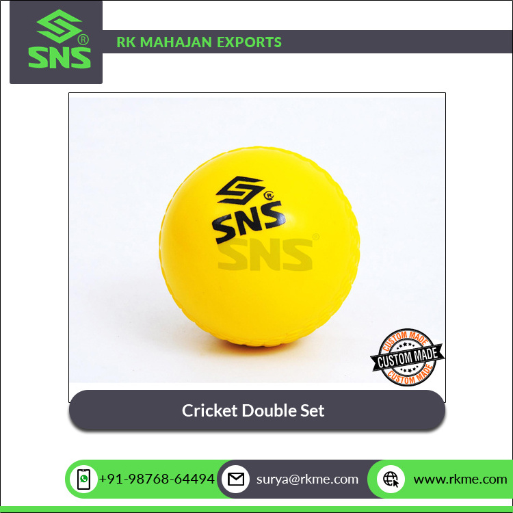 Leading Supplier of Good Quality Customized OEM Light Weight Plastic Beach Garden Cricket Double Set with Carry Bag