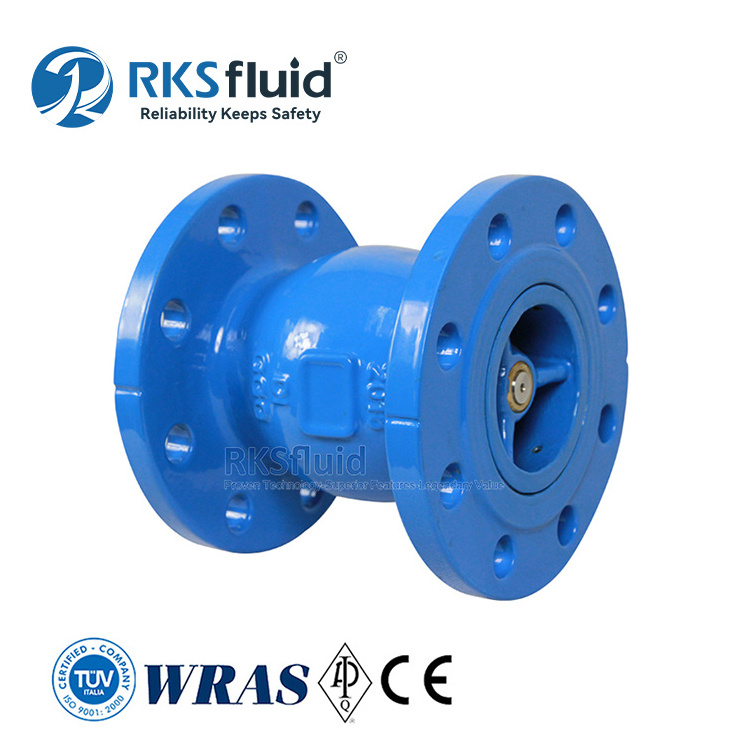 Manufacturer Cast Ductile Iron Flanged End Silent Check Valve DN50 for Water Treatment