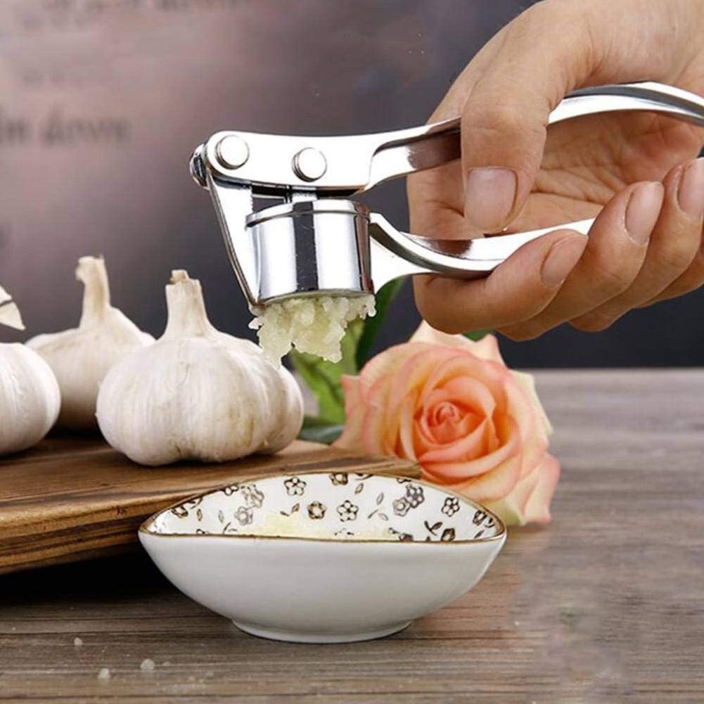 Zinc Alloy Garlic Press for Kitchen, Ginger Peeler Garlic