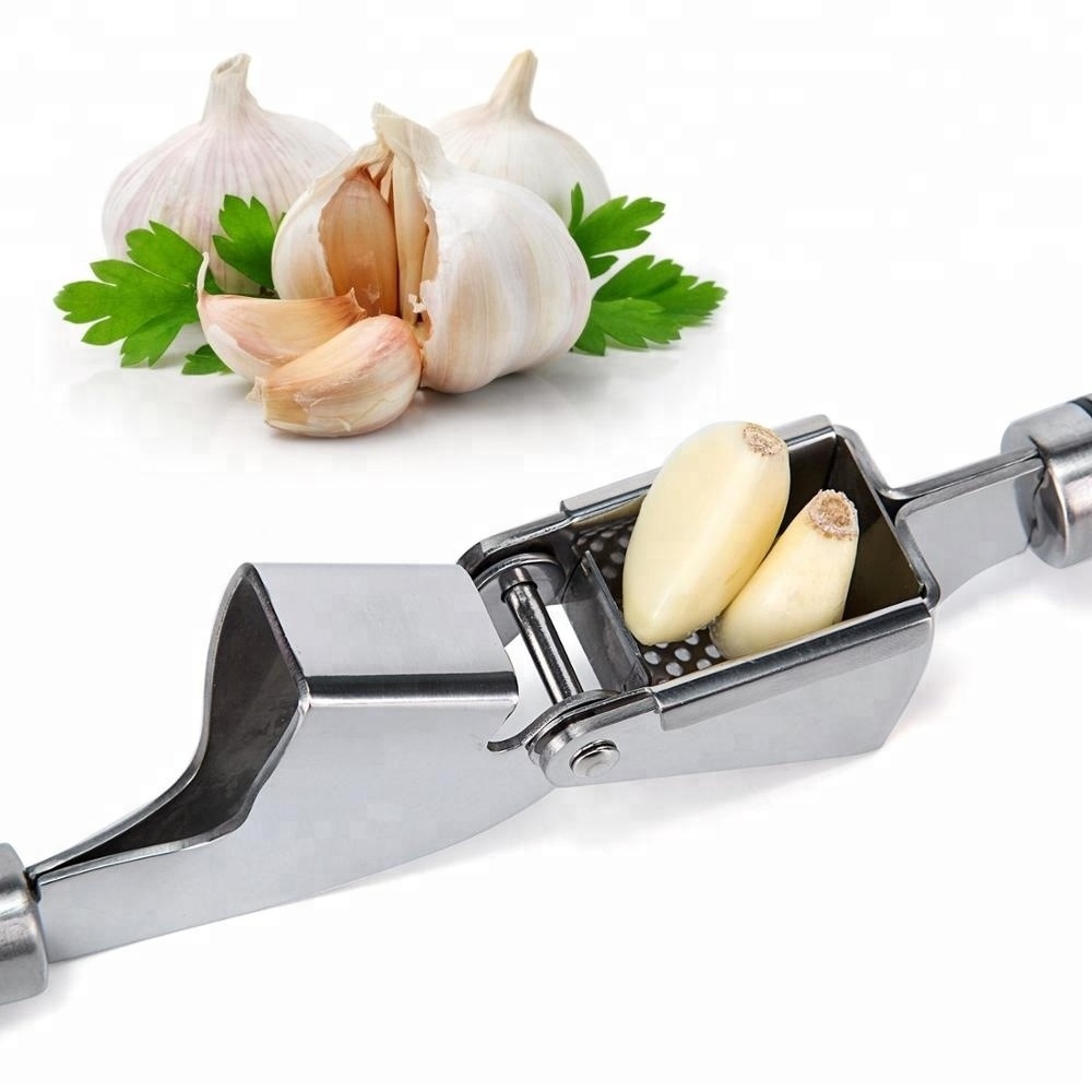 Hot Sale Set Manual Stainless Steel Garlic Press With Garlic Peeler and Brush