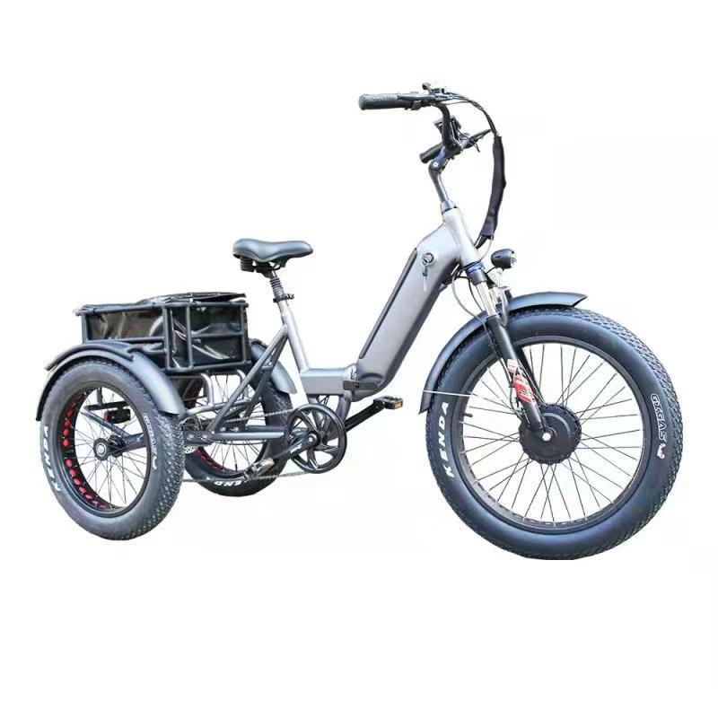 New design  48V350W Three Wheels  Adult Cargo Electric tricycle electric trike electric bicycle