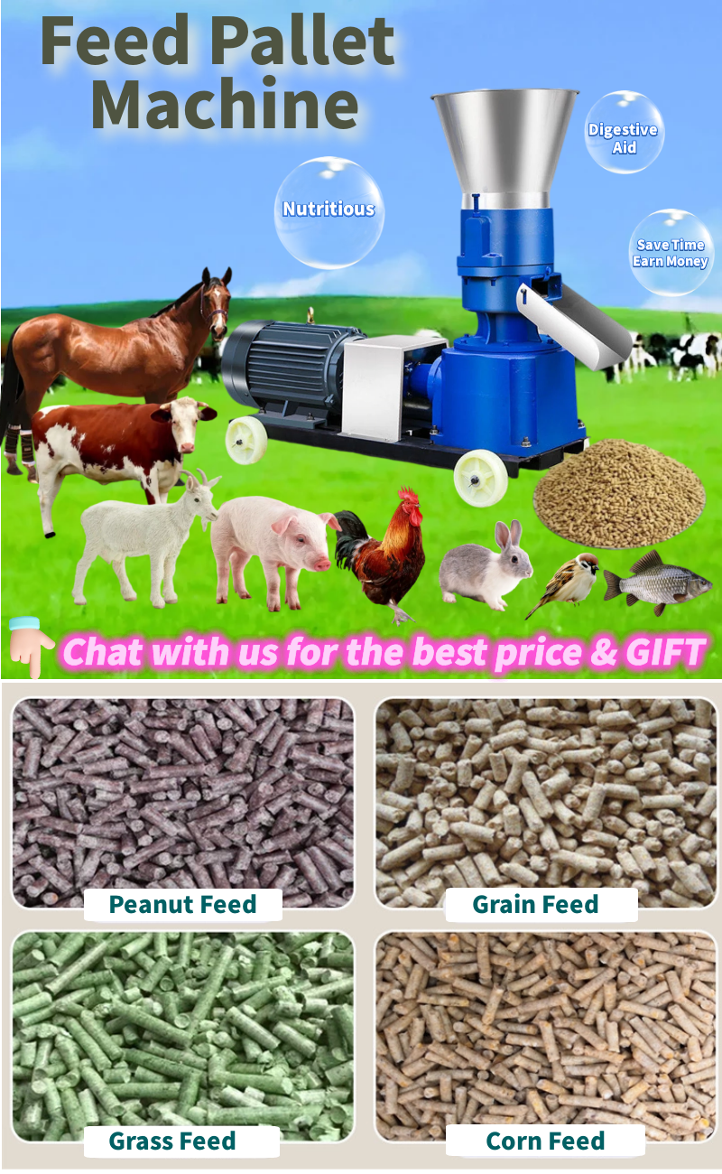 home made olive pomace alfalfa pellet cattle pig food processing machinery production line machine to making animal feed maker