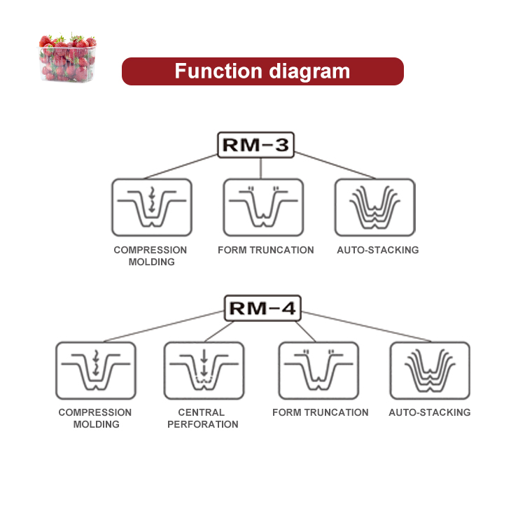 3 stations plastic lid tray making thermoforming machine PLC plastic packaging forming machines