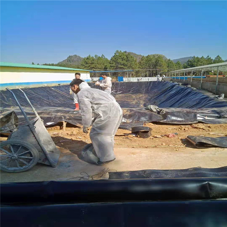 Fish Farm Pond Liner 1mm Hdpe Geomembrane Black Green White Blue 100% Virgin Material