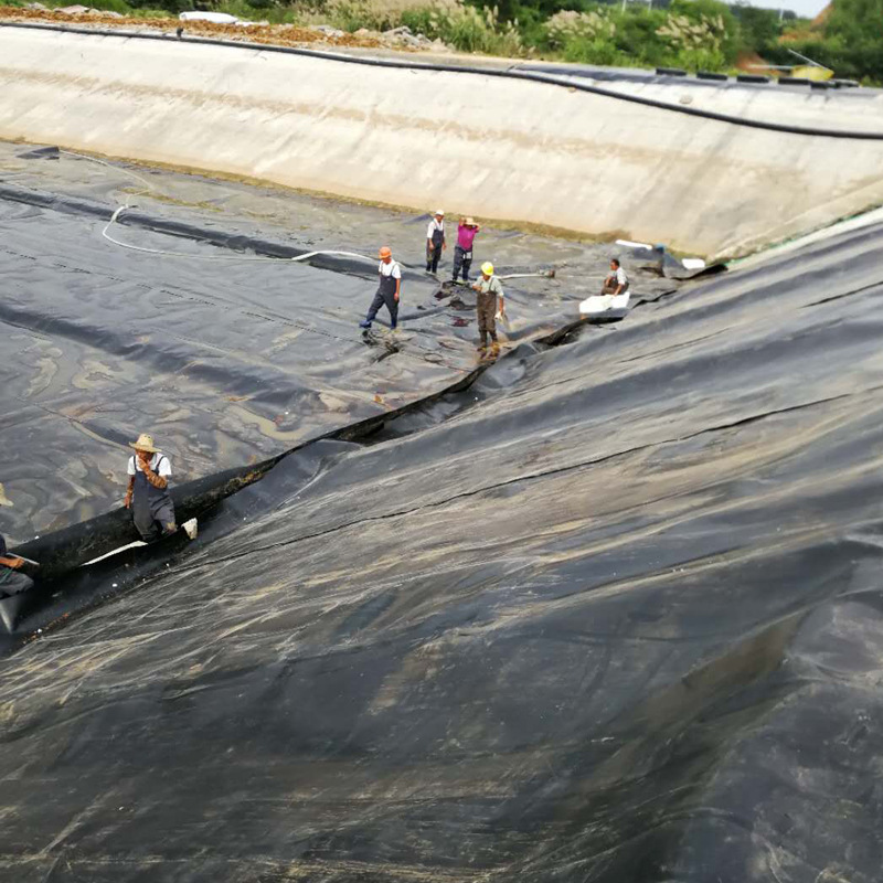 Taian Road 0.5mm 0.75mm 1.5mm 2mm 2.5mm HDPE Geomembrane 1mm Fish Pond Liner