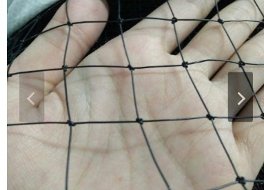 Free sample Hot Selling Commercial Plastic Knotted Mesh Anti Bird Netting Fruit Garden Anti Bird Net