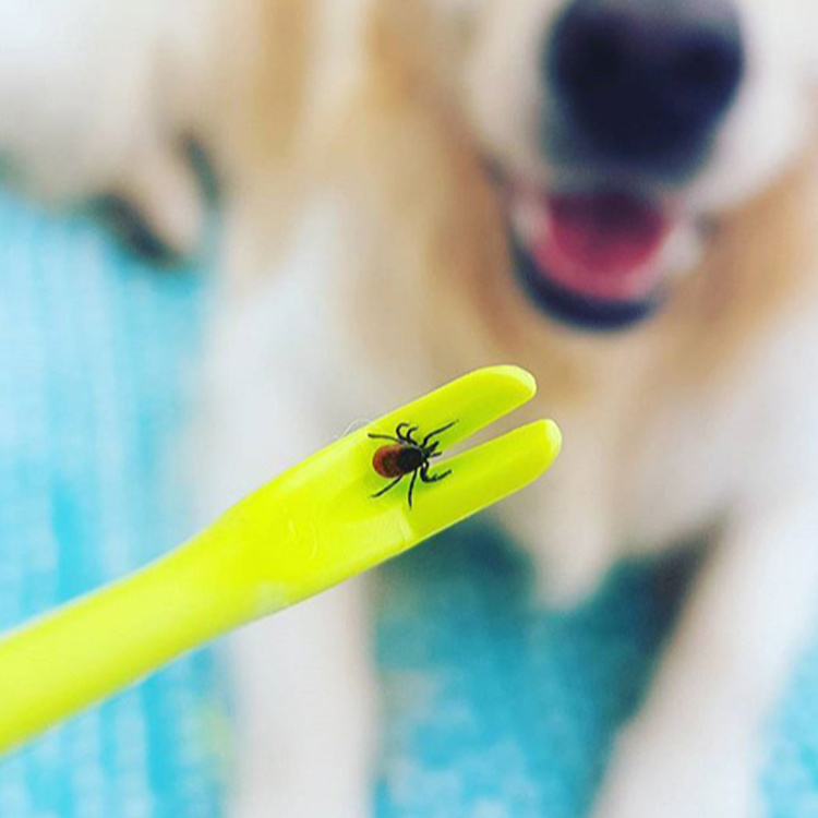 Dog And Cat Catching Insects And Worms Pet Lice Catcher Flea Hook Tick Hook