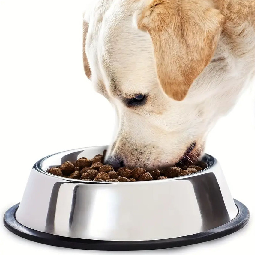 Stainless Steel Pet Bowls Feeders, Dog Bowls Stainless Steel With Non-slip Rubber Base, Pet Bowls And Feeders