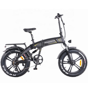 20 inch full suspension  20"electric bicycle mountain with fat tire/Dual batteries 48v 1000w snow electric scooters