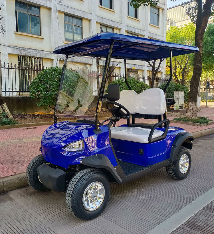 2 seats electric golf cart with cargo bed cargo box seat belts screen canopy radio