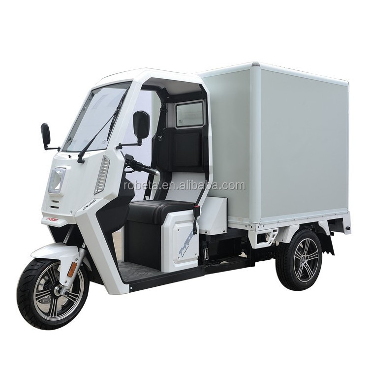 3 wheel lithium battery tuk tuk electric van car adult mini electric car