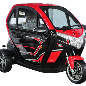 3 Wheel 2 Door Fully Enclosed Lithium Battery  Mobility Scooter /Mini Electric Tricycle