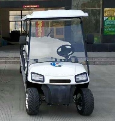 China Made 12 Seater Electric Golf Cart With Rear Seat For Sale