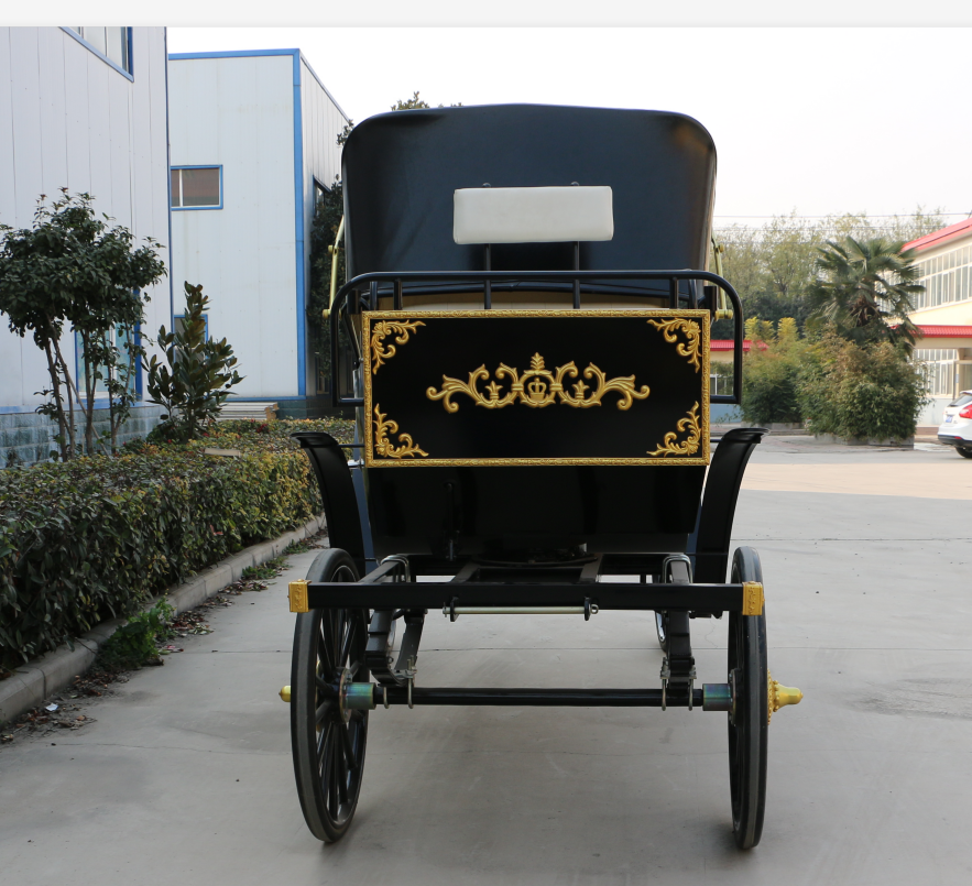 High Quality tourist sightseeing horse carriage/Cinderella Horse Drawn Carriage For Sale