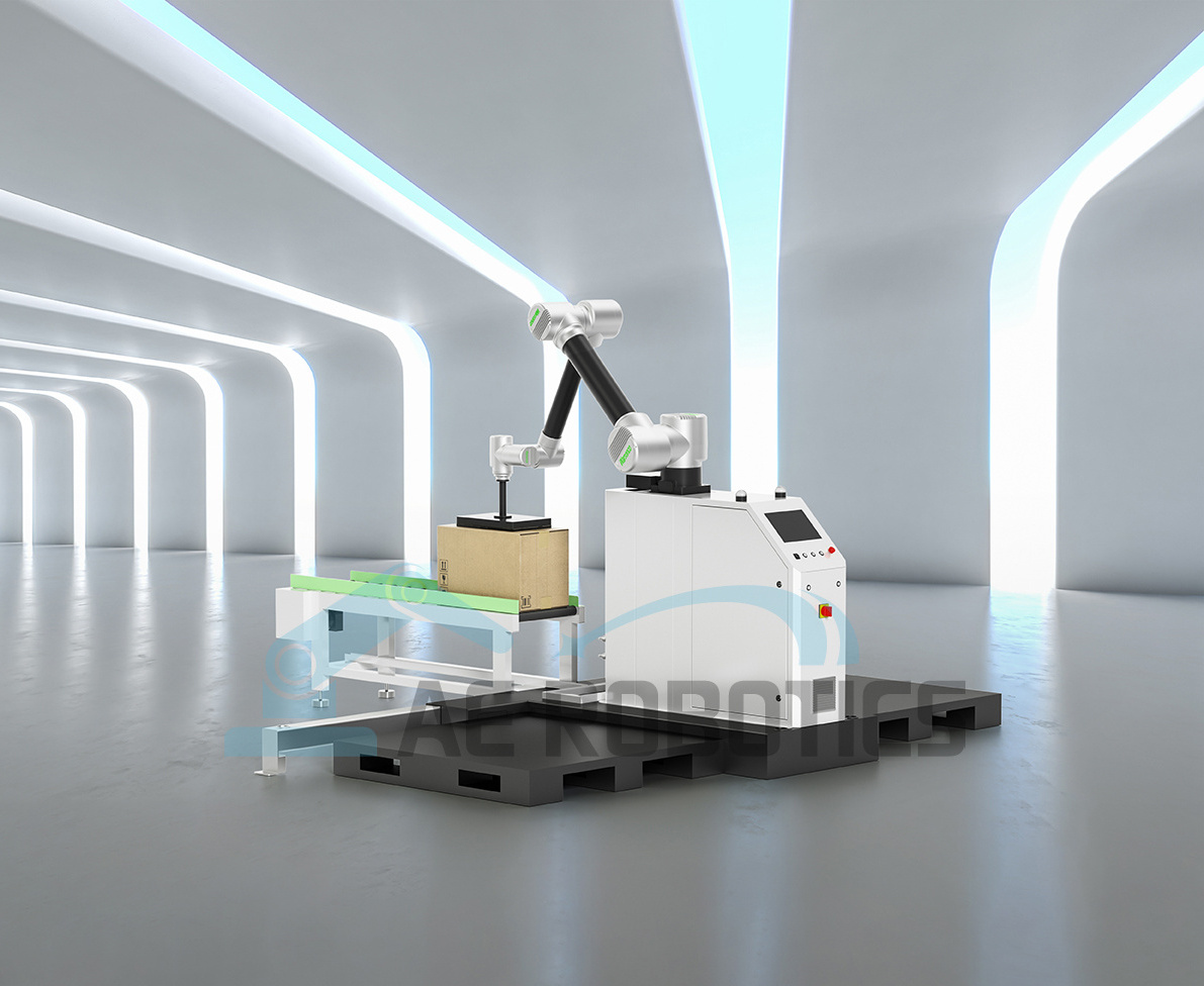 Payload 20KG Collaborative robot for palletizing  food, printing and medical fields