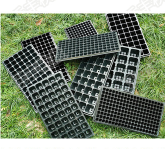 Wholesale Seedling Hole Tray for Succulent Garden Nursery Trays & Lids Strawberry Seedling Tray