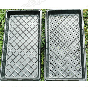 Wholesale Seedling Hole Tray for Succulent Garden Nursery Trays & Lids Strawberry Seedling Tray