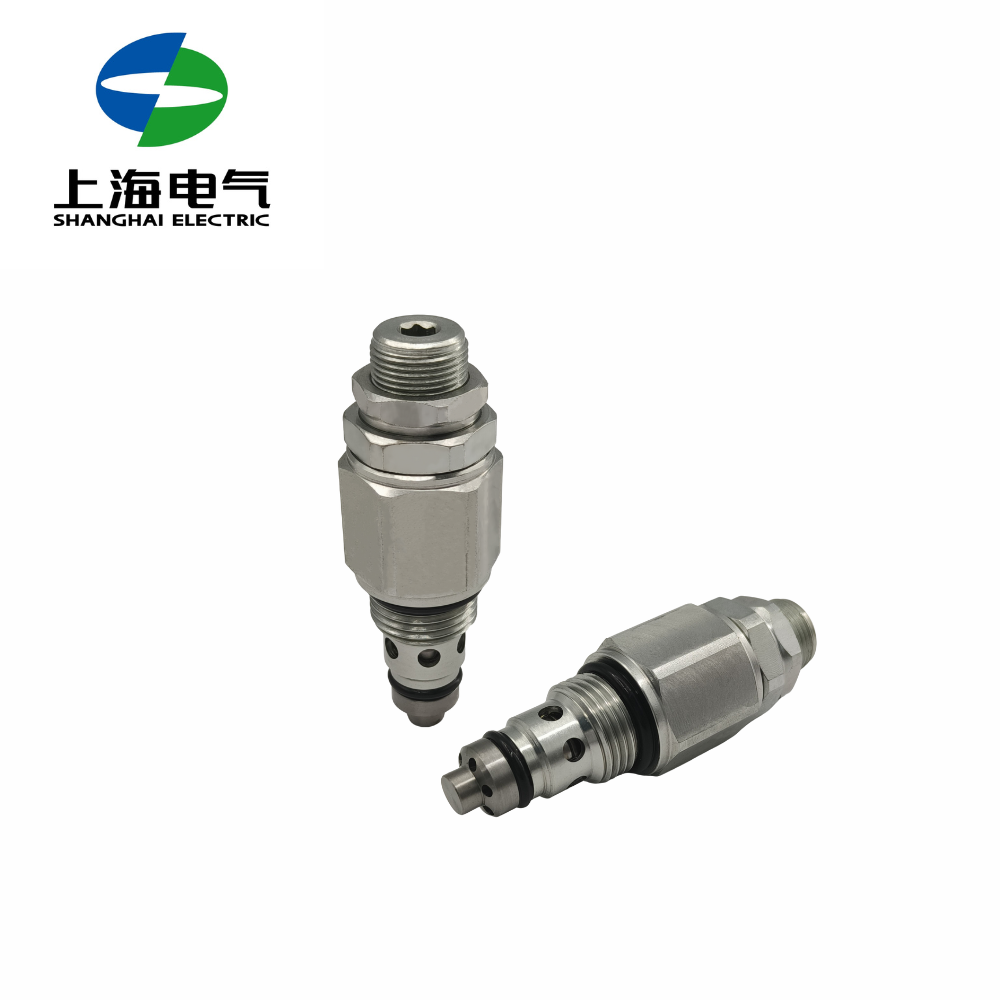 Shanghai Electric Hydraulics Manufacturer Hydraulic System Spare Parts Cartridge Relief Valve RV Hydraulic Valves