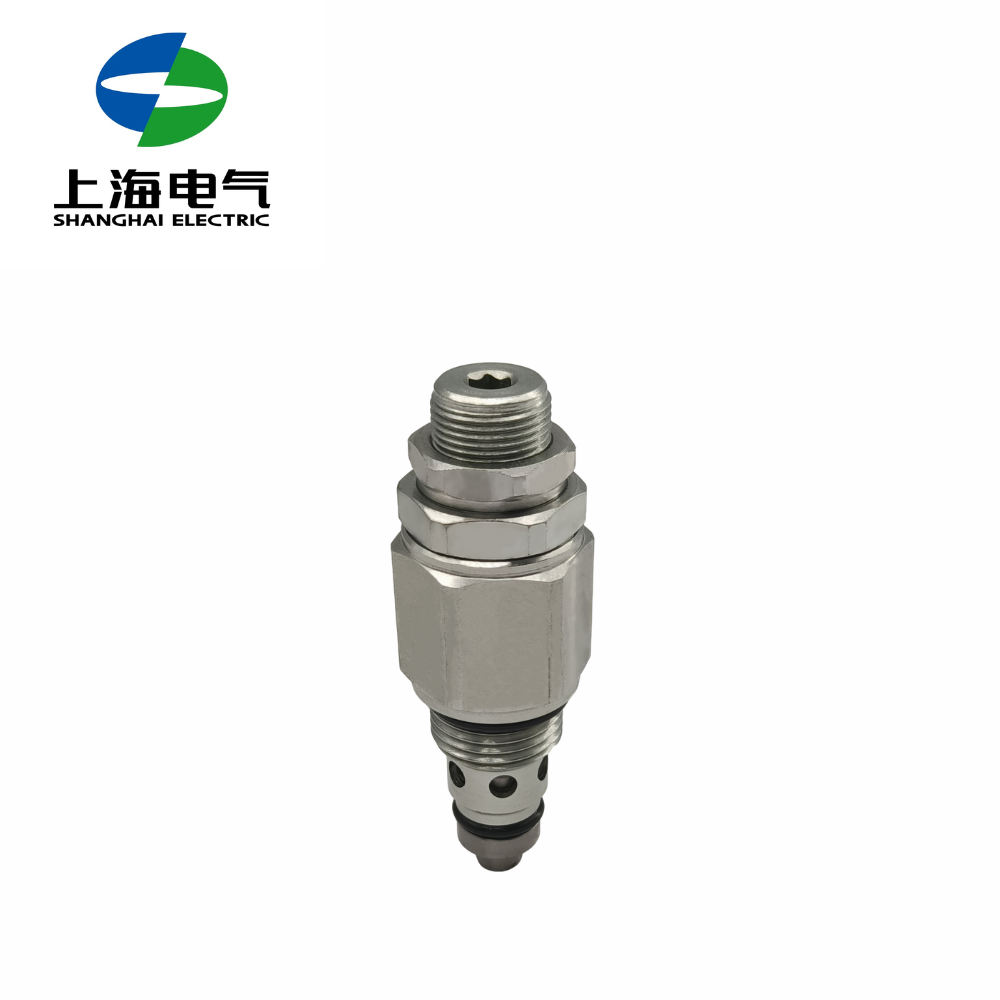 Shanghai Electric Hydraulics Manufacturer Hydraulic System Spare Parts Cartridge Relief Valve RV Hydraulic Valves