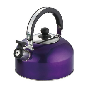 Whistling Tea Kettle Stainless Steel  2.0L  Economic Kettle With Color Painting For Promotional Gift