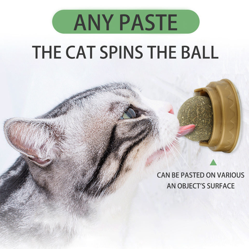 Popular catnip sucker wall ball cat toy with catnip mint Contain catnip snack lollipop cat toys interactive ball For Indoor Cats